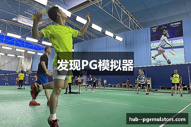 发现PG模拟器